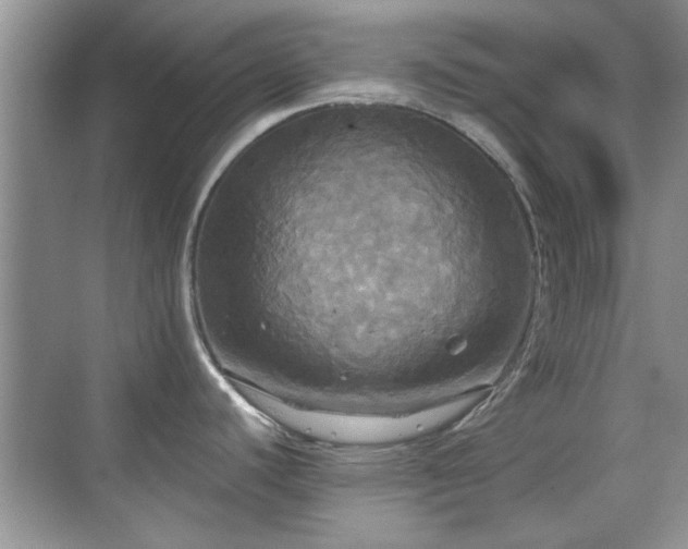 X0000070361440200606121158