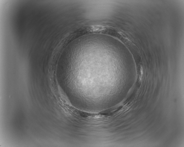 X0000070361441200606121157