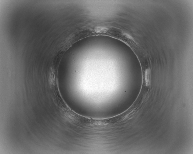 X0000070361443200606121157