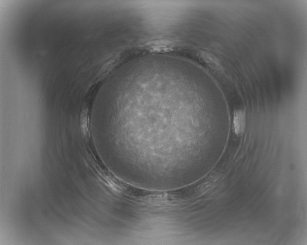 X0000070361444200606121157