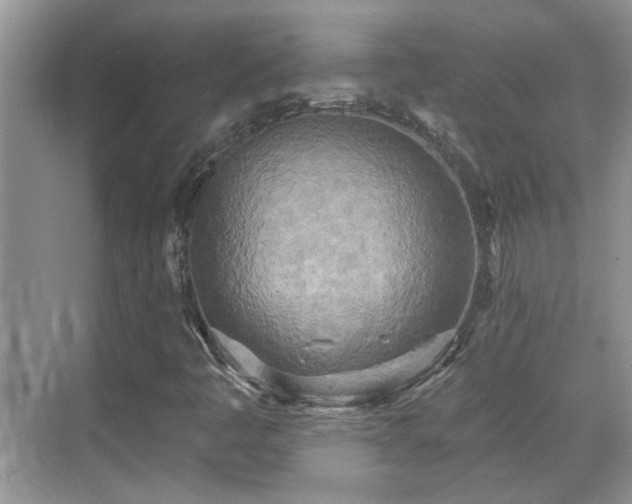 X0000070361445200606121157