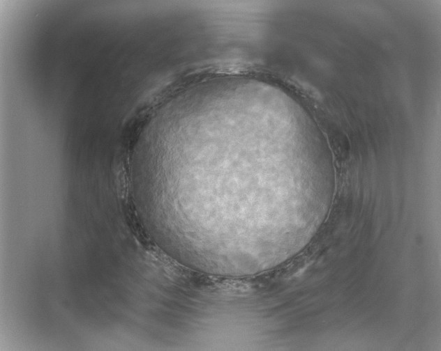 X0000070361446200606121157