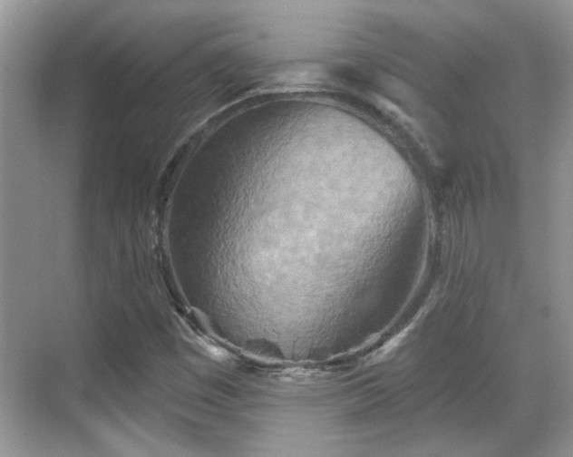 X0000070361449200606121157