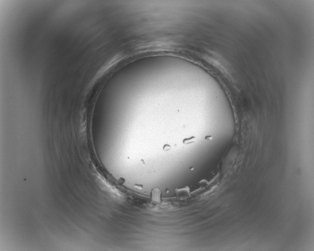 X0000070361450200606121157