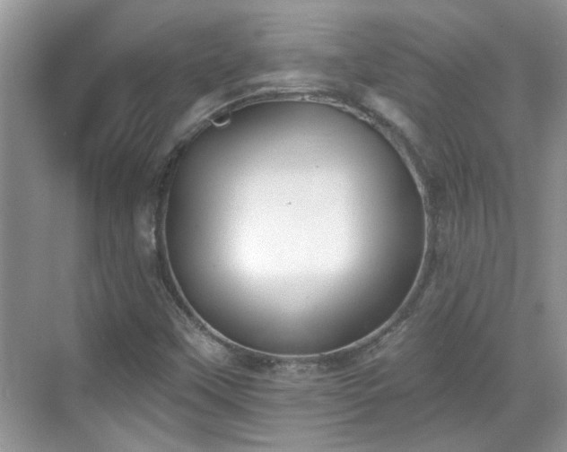 X0000070361451200606121157