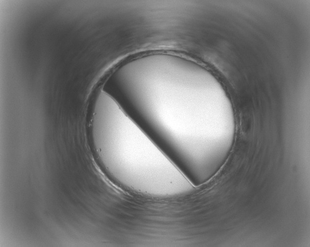 X0000070361452200606121157