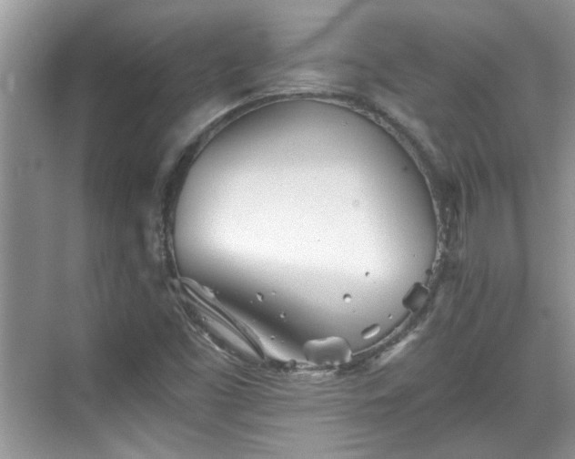 X0000070361453200606121157