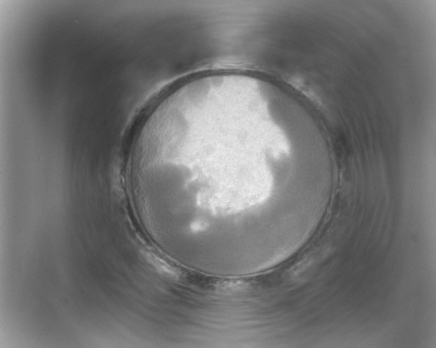 X0000070361454200606121157