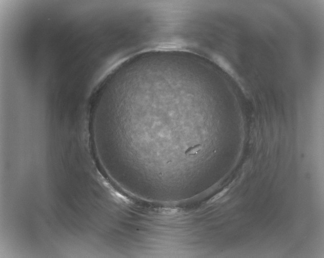 X0000070361456200606121157