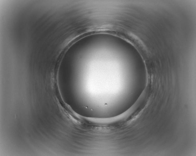 X0000070361457200606121157