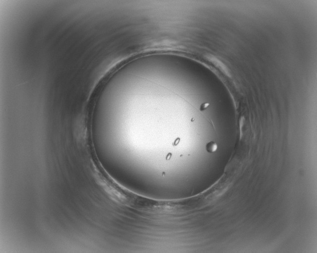 X0000070361458200606121156