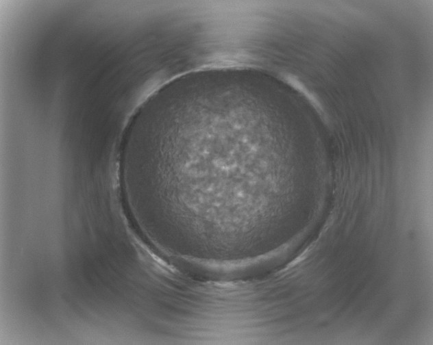 X0000070361459200606121156