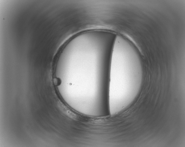 X0000070361460200606121156