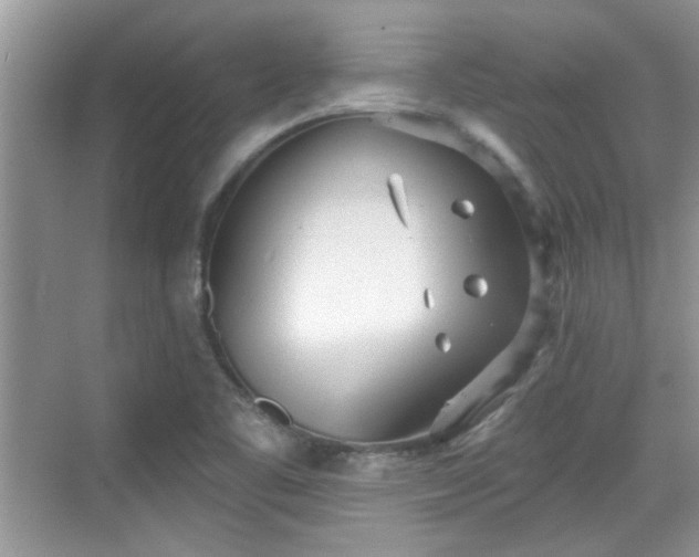 X0000070361461200606121156