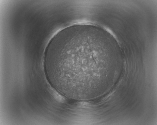 X0000070361463200606121156