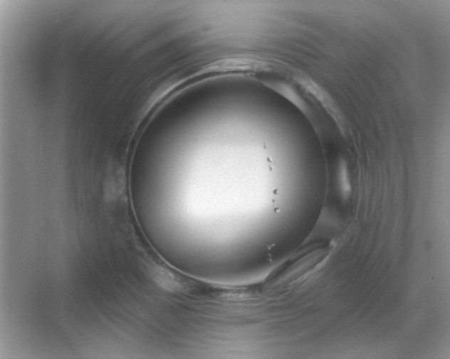 X0000070361465200606121156