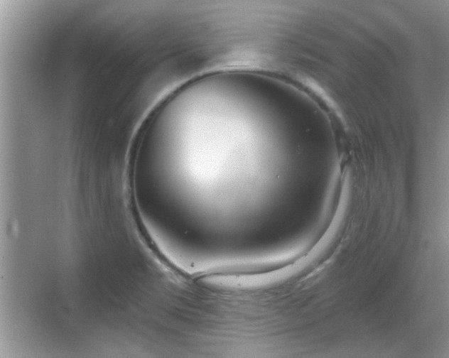 X0000070361469200606121156