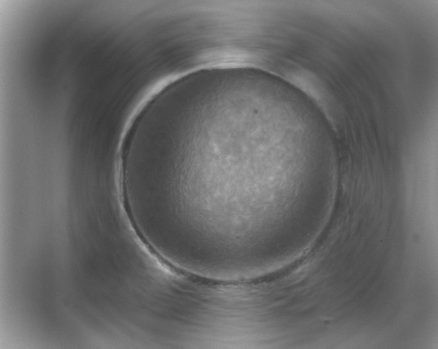 X0000070361472200606121156