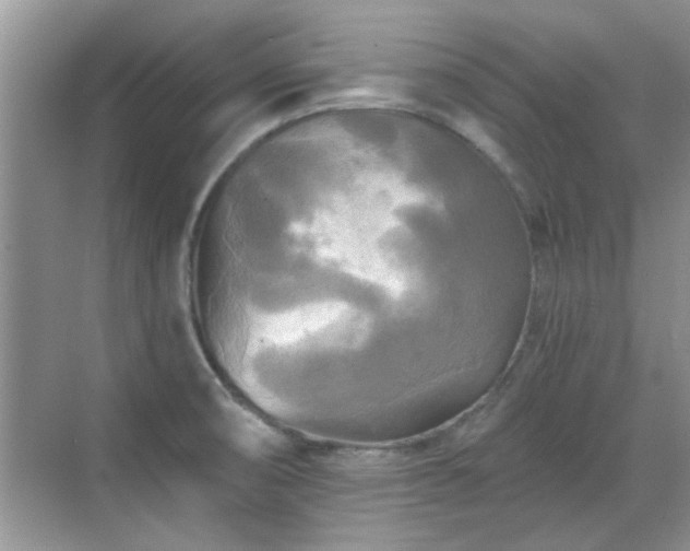 X0000070361474200606121156