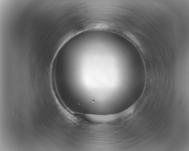 X0000070361475200606121156