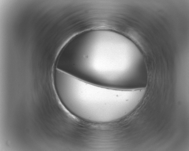 X0000070361476200606121156