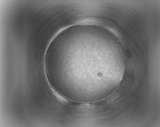 X0000070361478200606121156