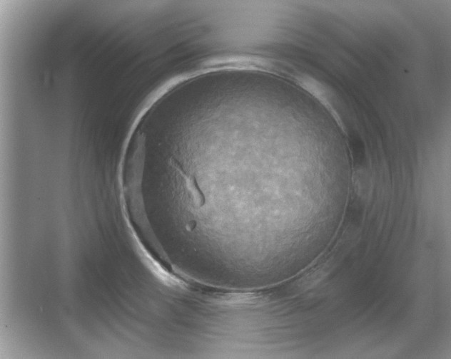 X0000070361482200606121156