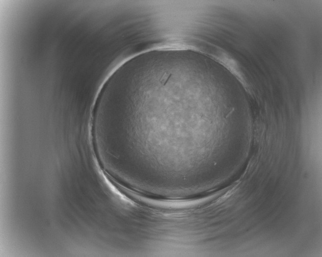 X0000070361484200606121156