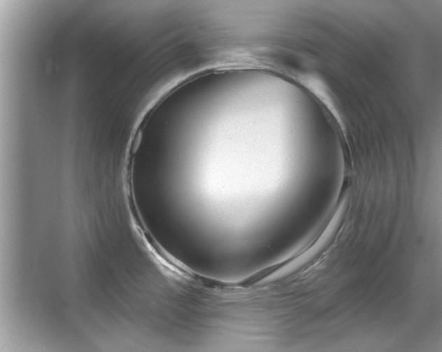 X0000070361485200606121156