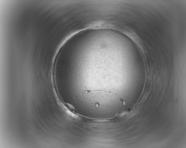 X0000070361486200606121156