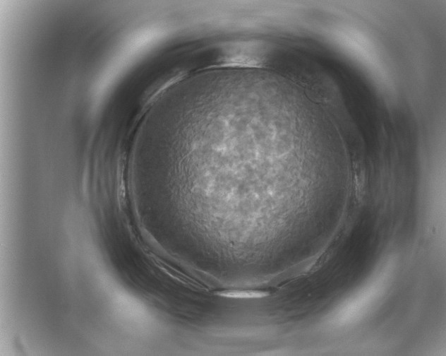 X0000070361487200606121156