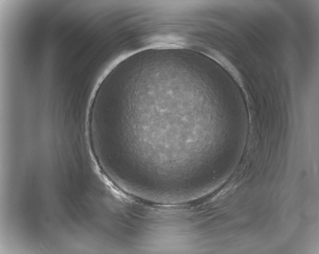 X0000070361488200606121156