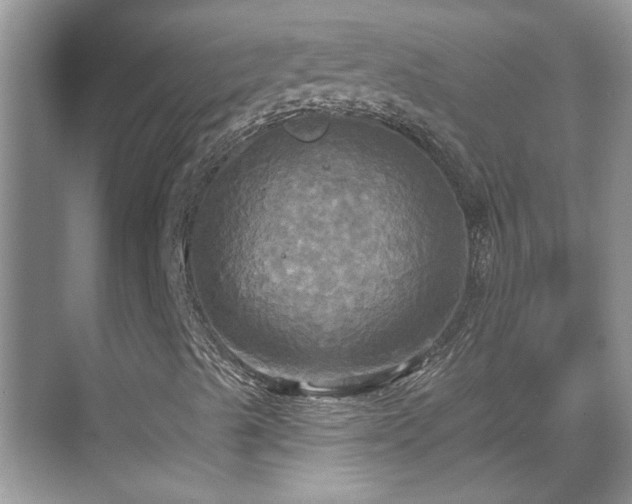 X0000070361489200606121155