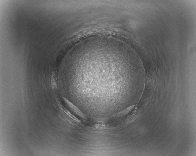 X0000070361490200606121155