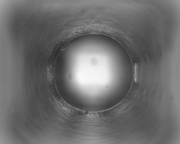 X0000070361491200606121155