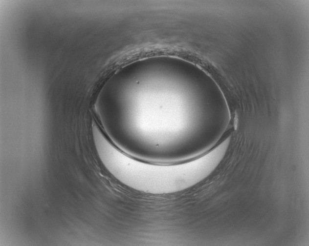 X0000070361492200606121155