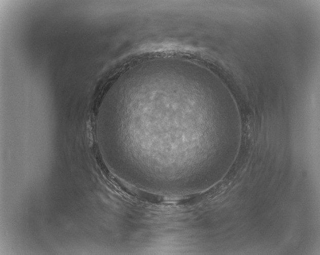 X0000070361493200606121155