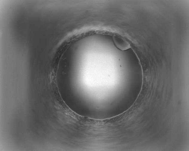 X0000070361495200606121155