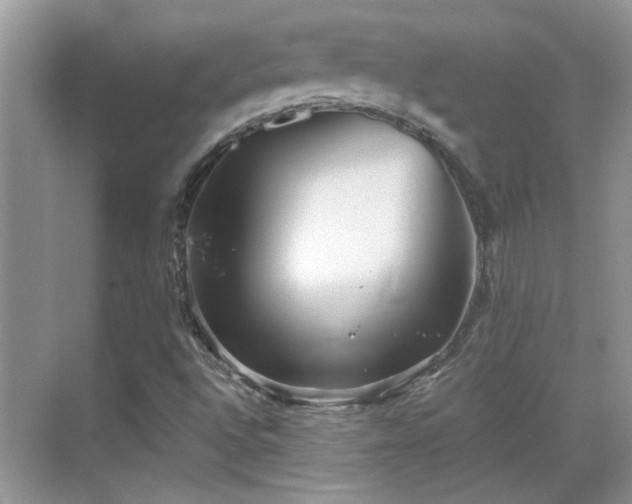 X0000070361496200606121155