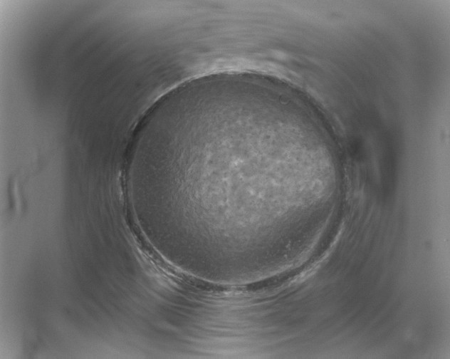 X0000070361497200606121155