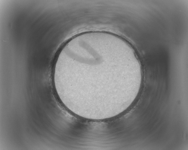 X0000070361498200606121155