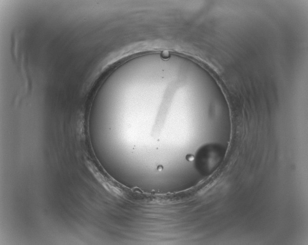 X0000070361499200606121155