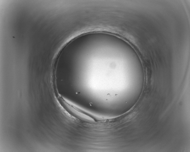 X0000070361500200606121155