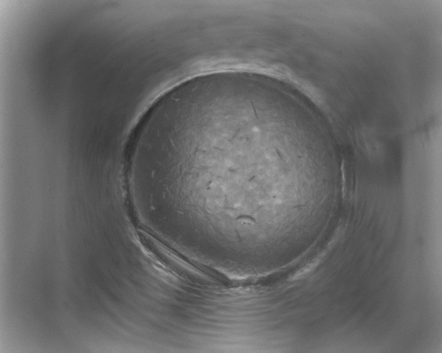 X0000070361501200606121155