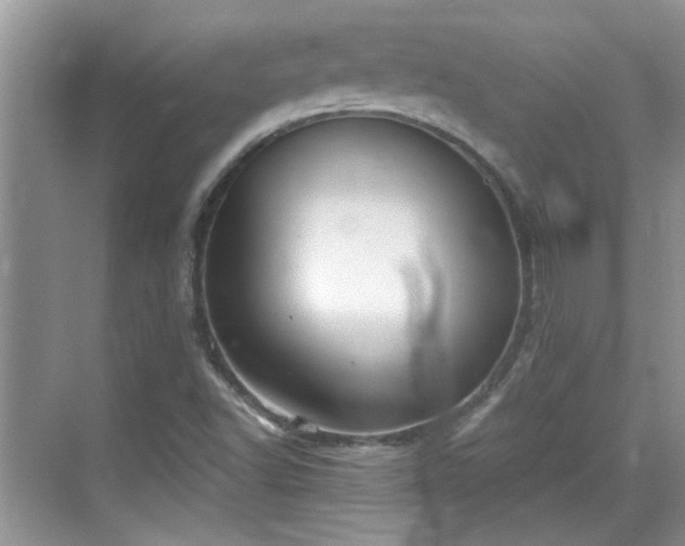 X0000070361502200606121155