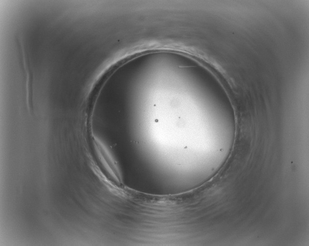 X0000070361503200606121155