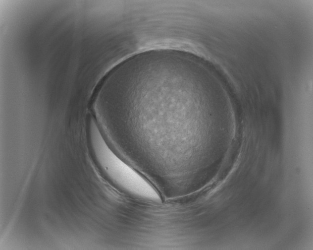 X0000070361505200606121155