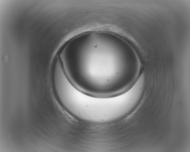 X0000070361506200606121155