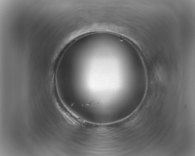 X0000070361507200606121155