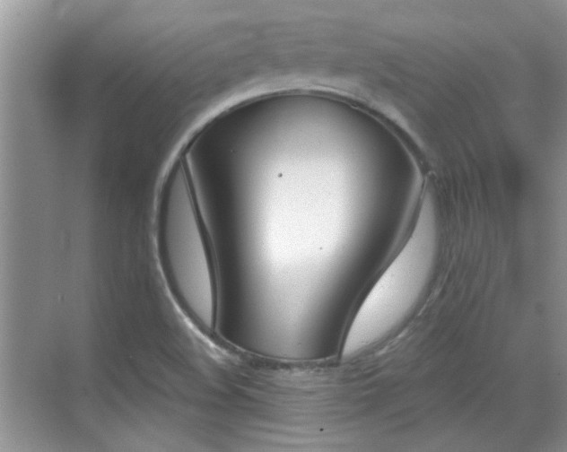 X0000070361508200606121155